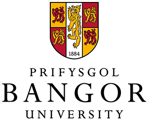 Bangor-Logo3